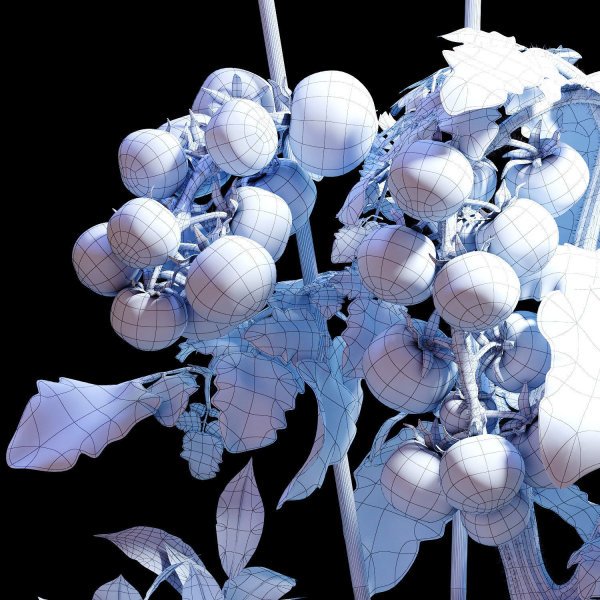 Set of plants 06