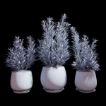 Set of plants  07