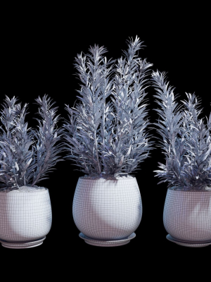 set-of-plants-07-3d-model-max-obj-fbx