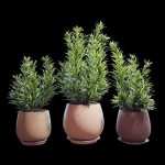 Set of plants  07