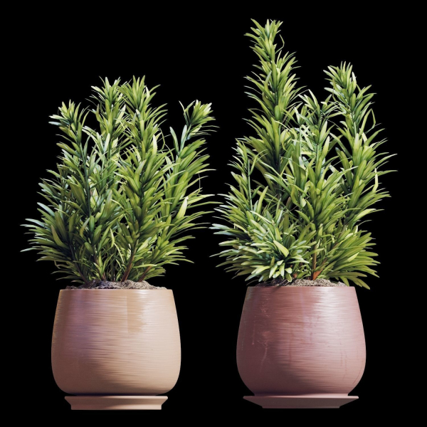 Set of plants  07