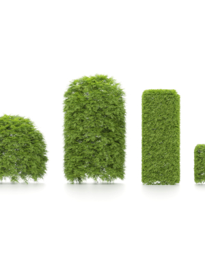 shaped-bush-plants-v02-3d-model-max-obj-fbx-c4d-stl
