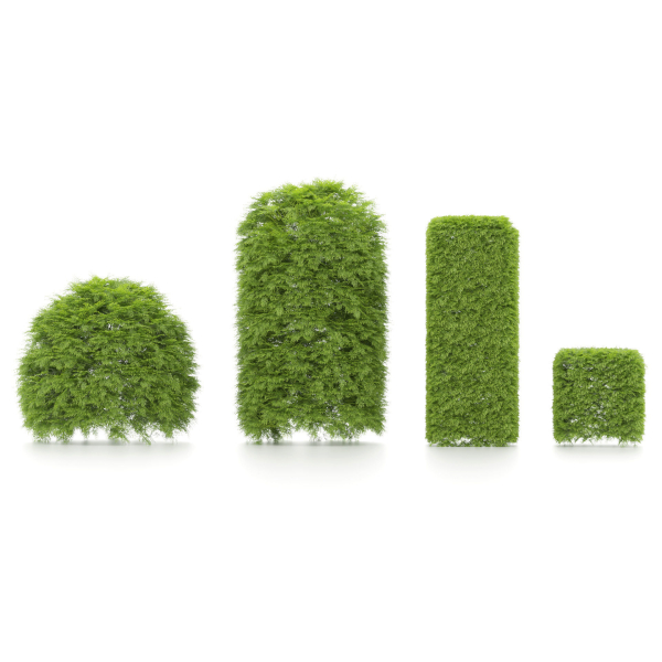 shaped Bush plants V02