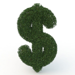 shaped hedge
