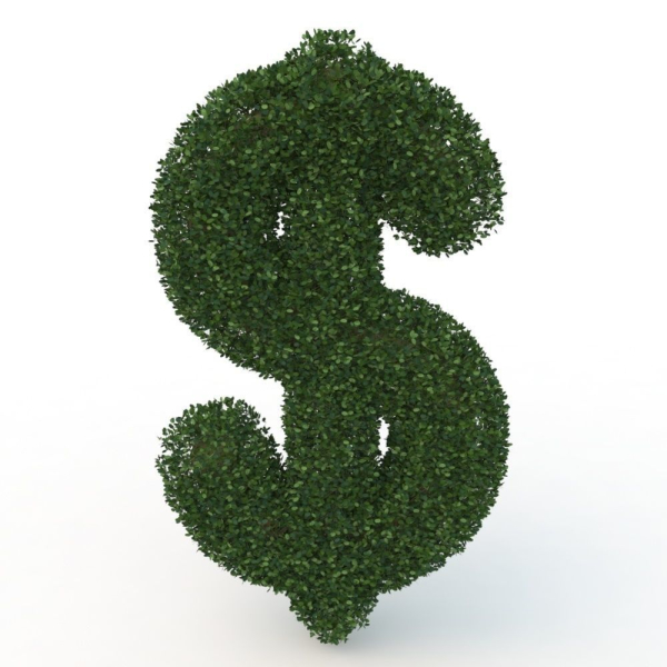 shaped hedge