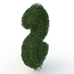 shaped hedge