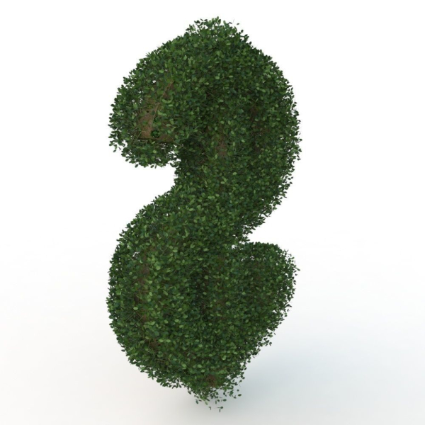 shaped hedge