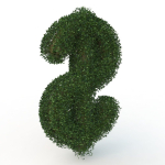 shaped hedge