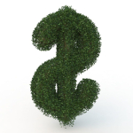 shaped hedge