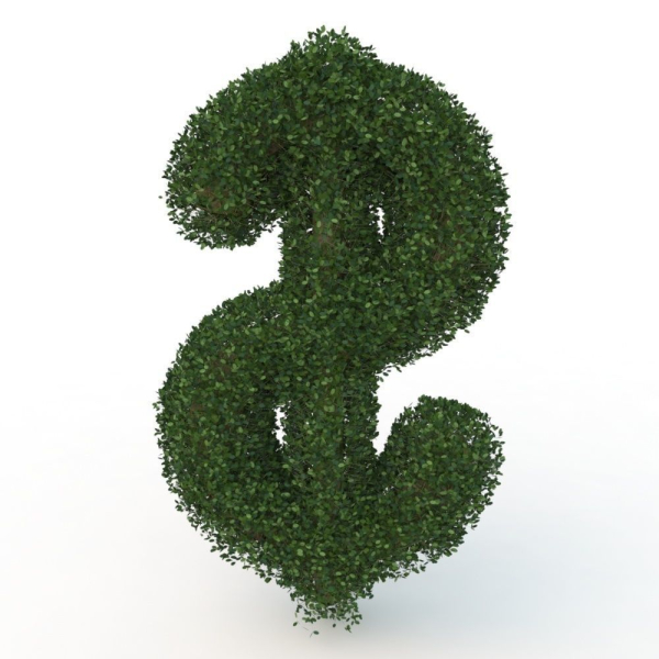 shaped hedge