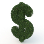 shaped hedge