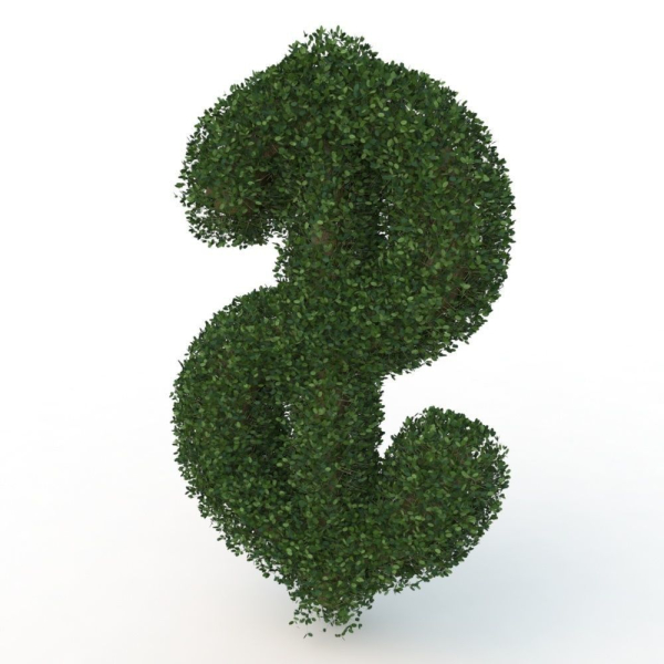 shaped hedge