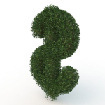 shaped hedge
