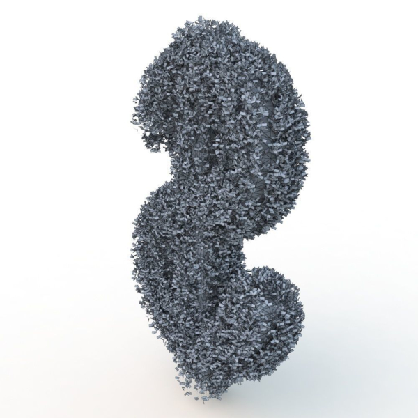 shaped hedge