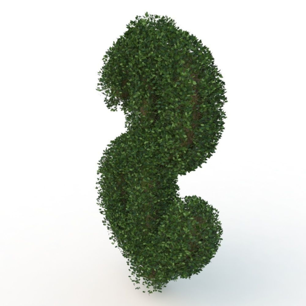 shaped hedge