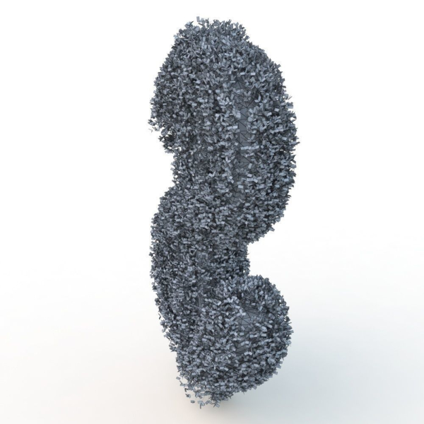shaped hedge