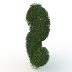 shaped hedge