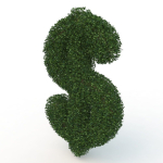 shaped hedge