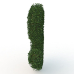 shaped hedge