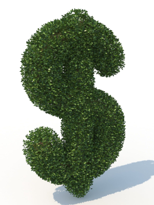 shaped hedge