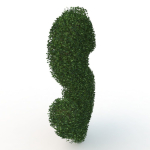shaped hedge