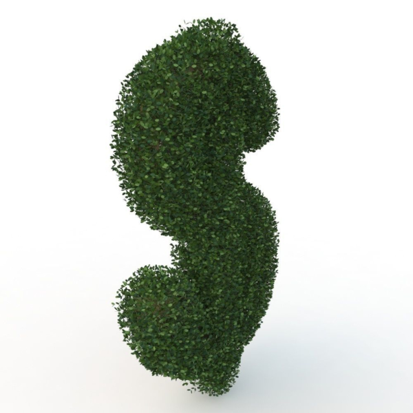 shaped hedge