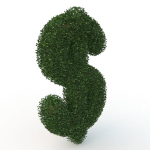 shaped hedge