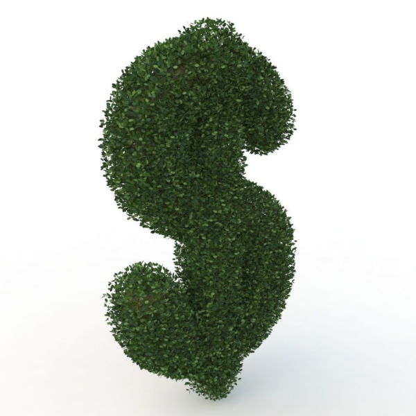 shaped hedge