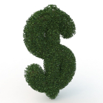 shaped hedge