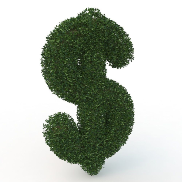 shaped hedge