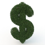shaped hedge