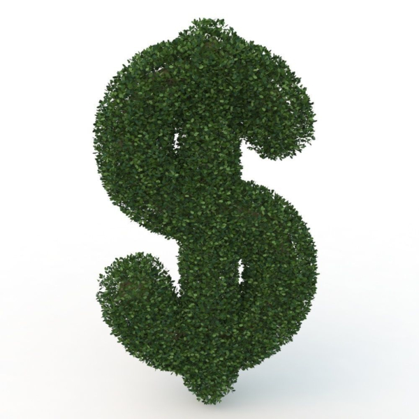 shaped hedge