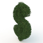 shaped hedge