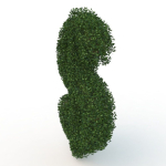 shaped hedge
