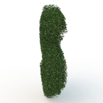 shaped hedge