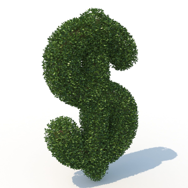 shaped hedge