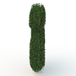 shaped hedge