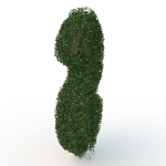 shaped hedge