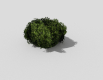 Shrub topiary