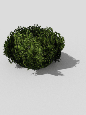shrub-40-3d-model-low-poly-obj-3ds-fbx-blend-dae-x3d