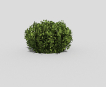 Shrub topiary
