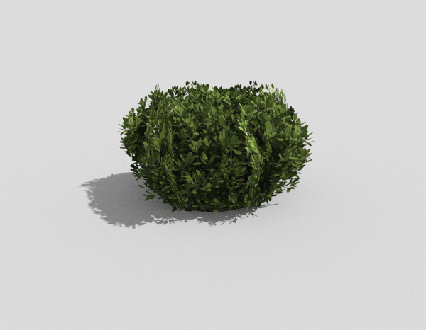 Shrub topiary