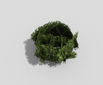 Shrub topiary