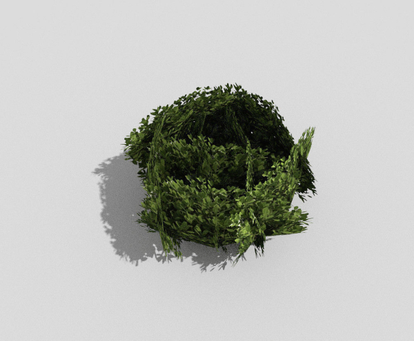 Shrub topiary