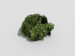 Shrub topiary
