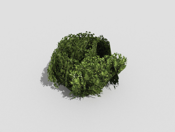 Shrub topiary