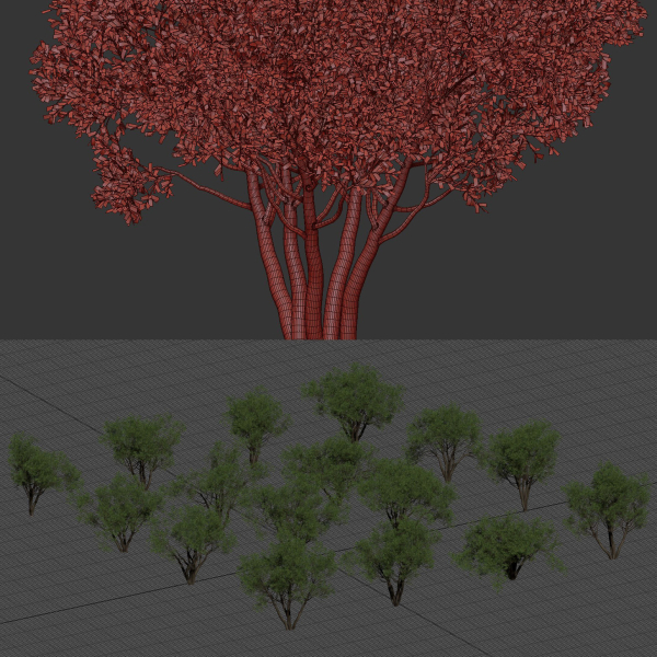 Shrubs Collection vol 241