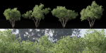 Shrubs Collection vol 241-Blender