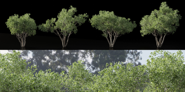 Shrubs Collection vol 241-Blender