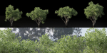 Shrubs Collection vol 241-Blender